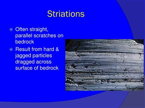 Striations Are A Structural Feature Associated With Some: