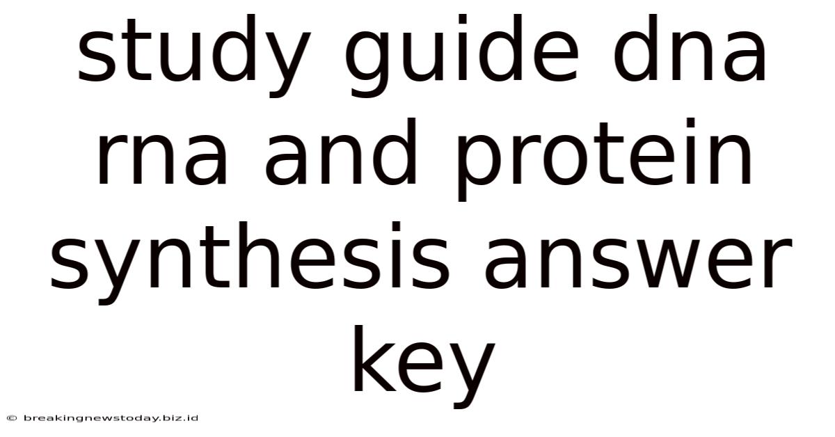 Study Guide Dna Rna And Protein Synthesis Answer Key