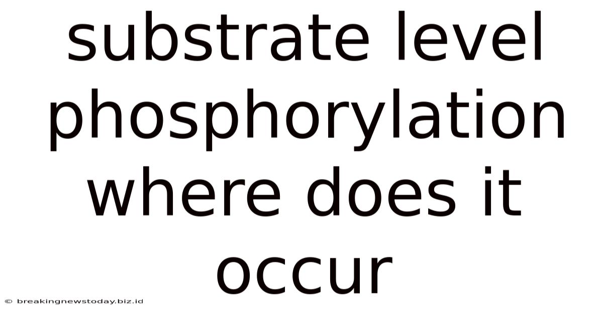 Substrate Level Phosphorylation Where Does It Occur