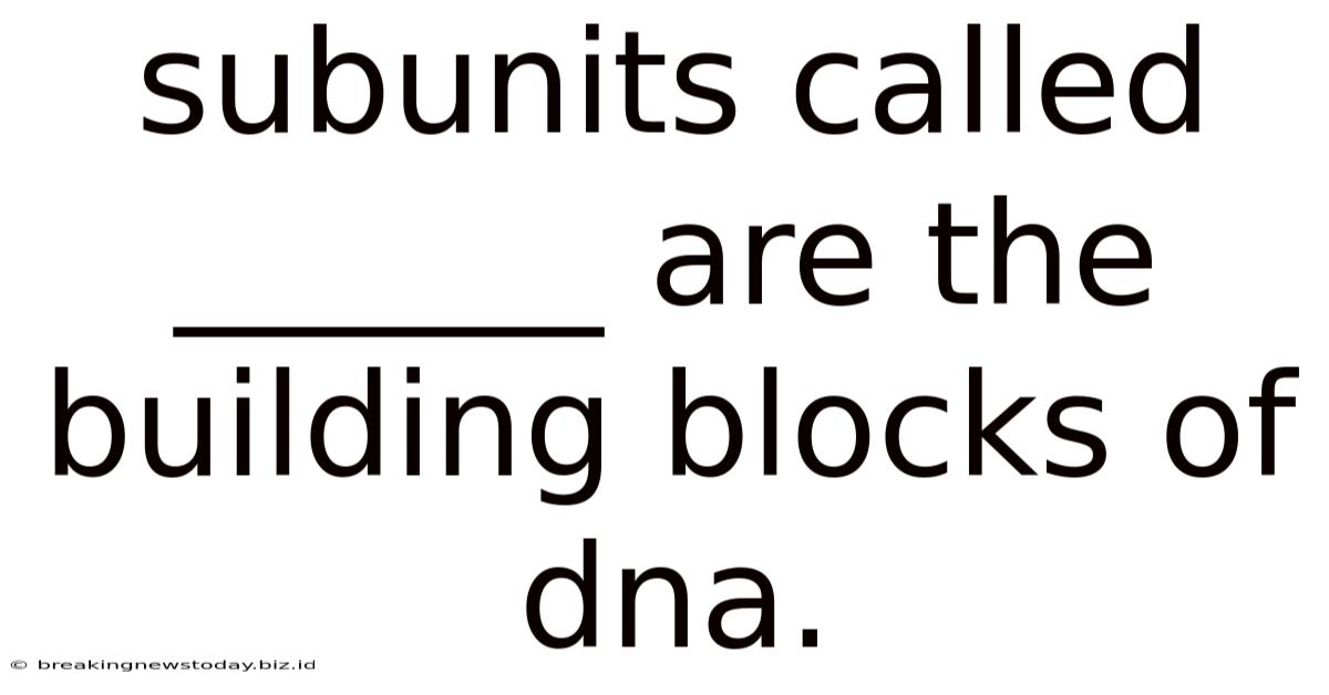 Subunits Called ______ Are The Building Blocks Of Dna.