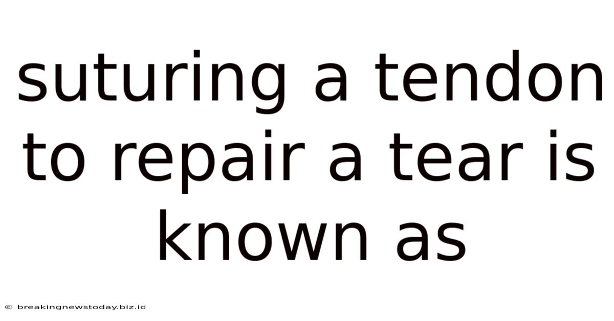 Suturing A Tendon To Repair A Tear Is Known As