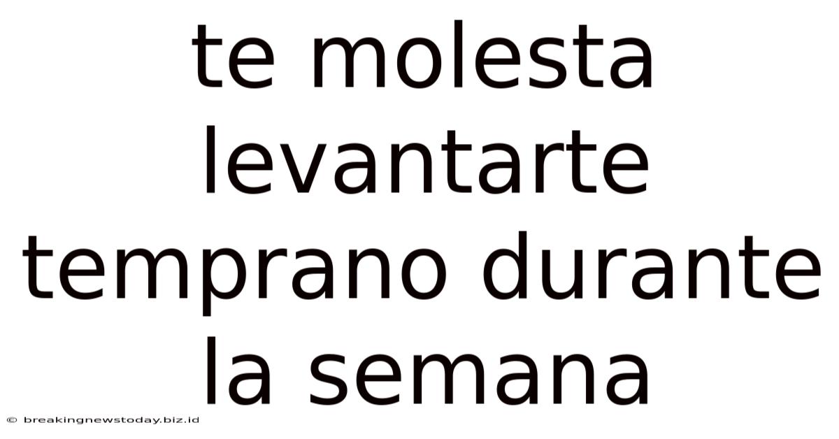 Te Molesta Levantarte Temprano Durante La Semana