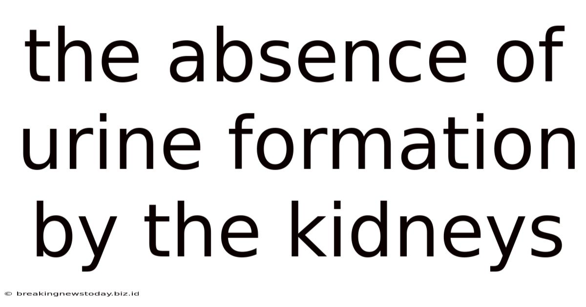The Absence Of Urine Formation By The Kidneys