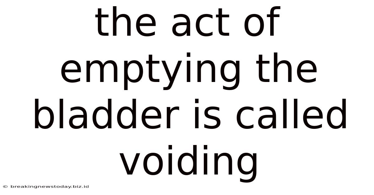 The Act Of Emptying The Bladder Is Called Voiding