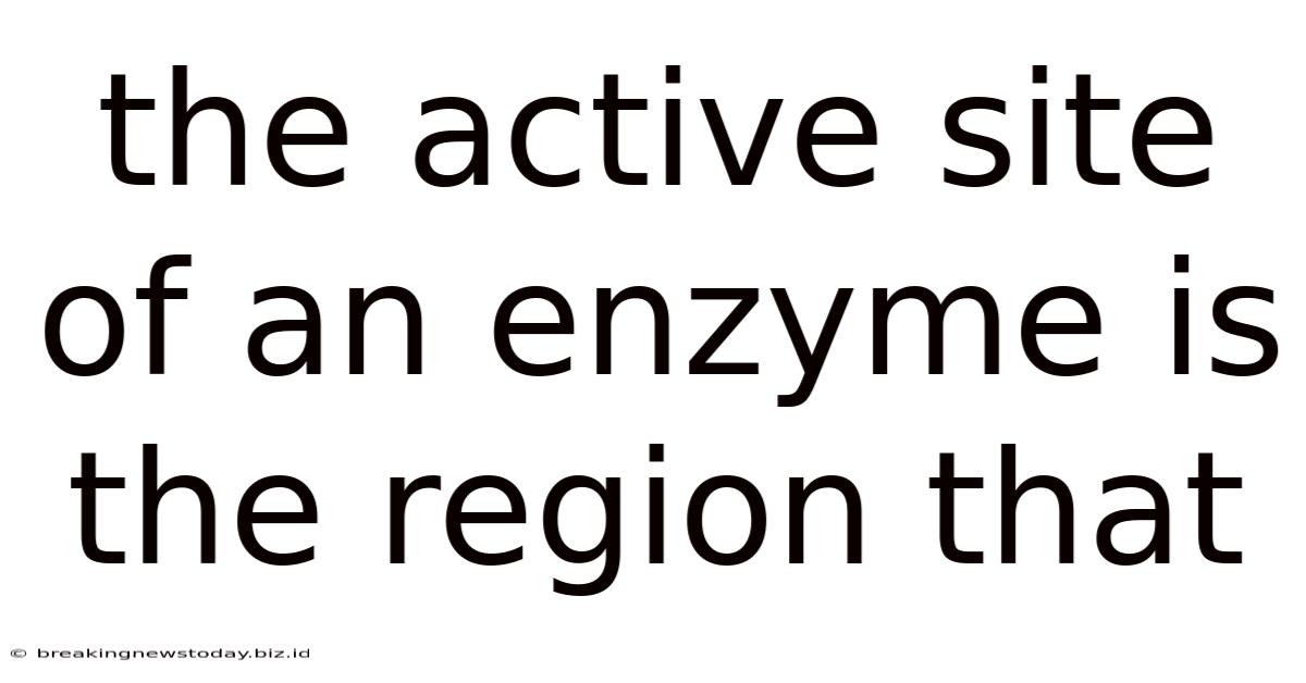 The Active Site Of An Enzyme Is The Region That
