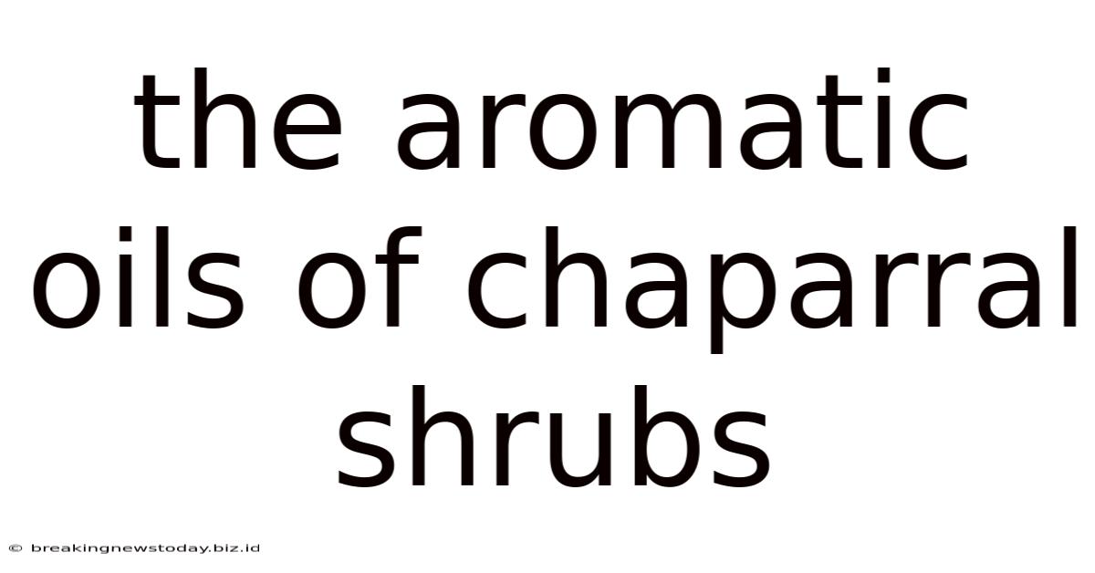 The Aromatic Oils Of Chaparral Shrubs