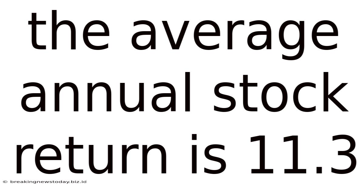 The Average Annual Stock Return Is 11.3