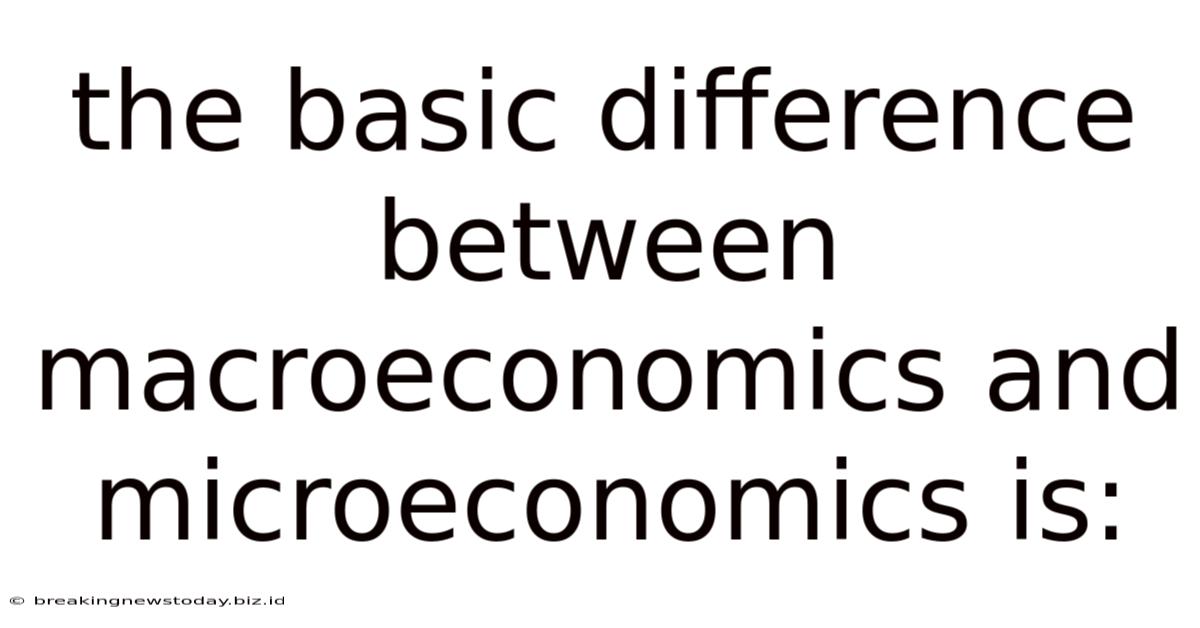 The Basic Difference Between Macroeconomics And Microeconomics Is: