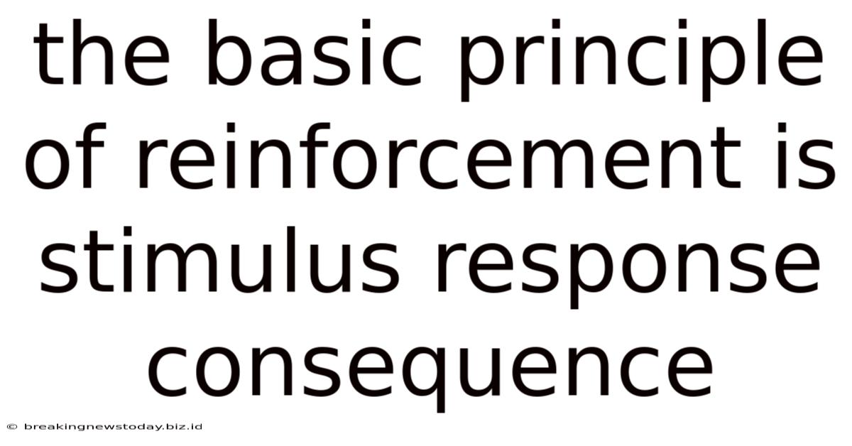 The Basic Principle Of Reinforcement Is Stimulus Response Consequence