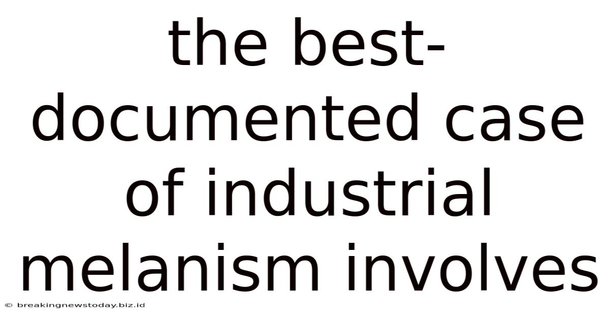 The Best-documented Case Of Industrial Melanism Involves
