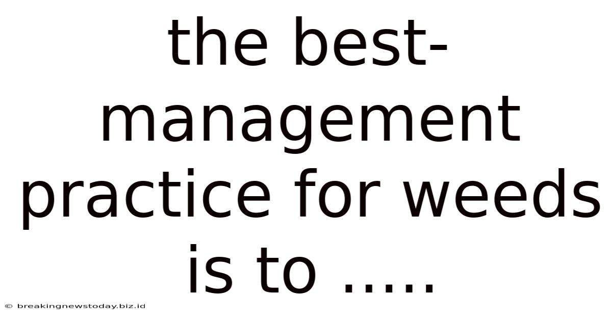 The Best-management Practice For Weeds Is To .....