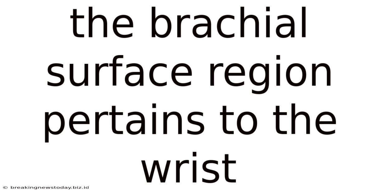 The Brachial Surface Region Pertains To The Wrist