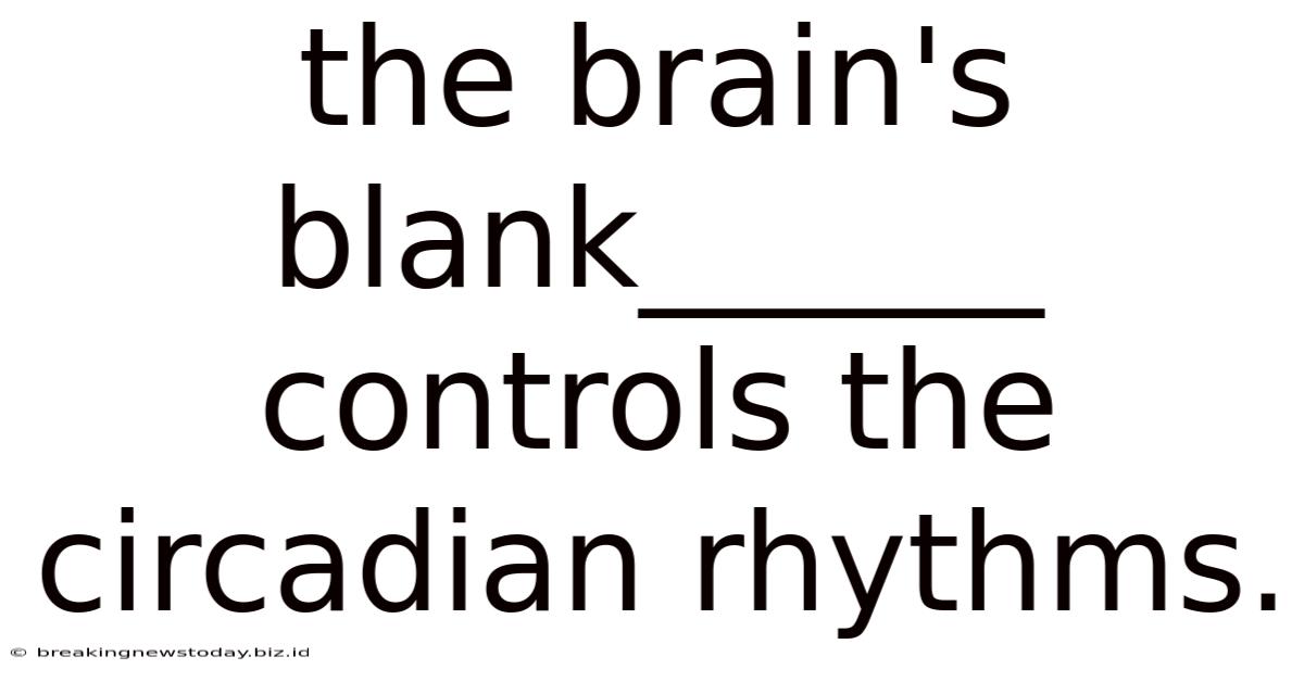 The Brain's Blank______ Controls The Circadian Rhythms.