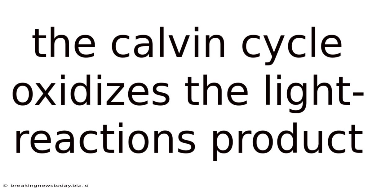 The Calvin Cycle Oxidizes The Light-reactions Product