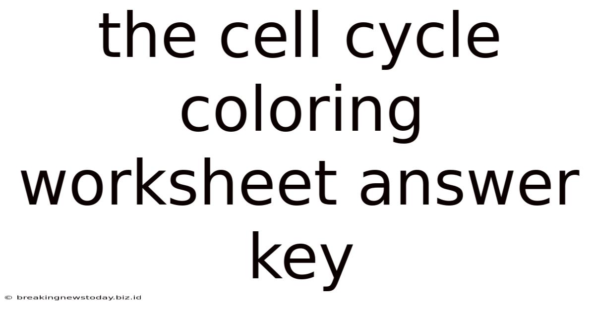 The Cell Cycle Coloring Worksheet Answer Key