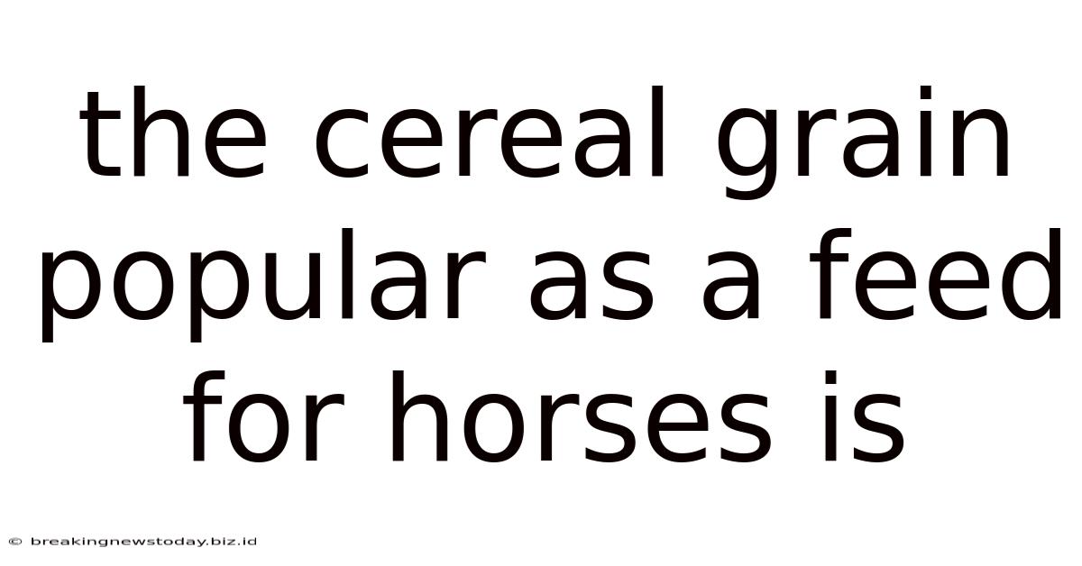 The Cereal Grain Popular As A Feed For Horses Is