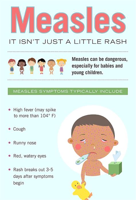 The Common Cold Hepatitis And Measles Are Examples Of