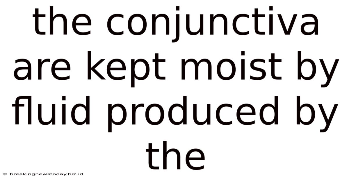 The Conjunctiva Are Kept Moist By Fluid Produced By The