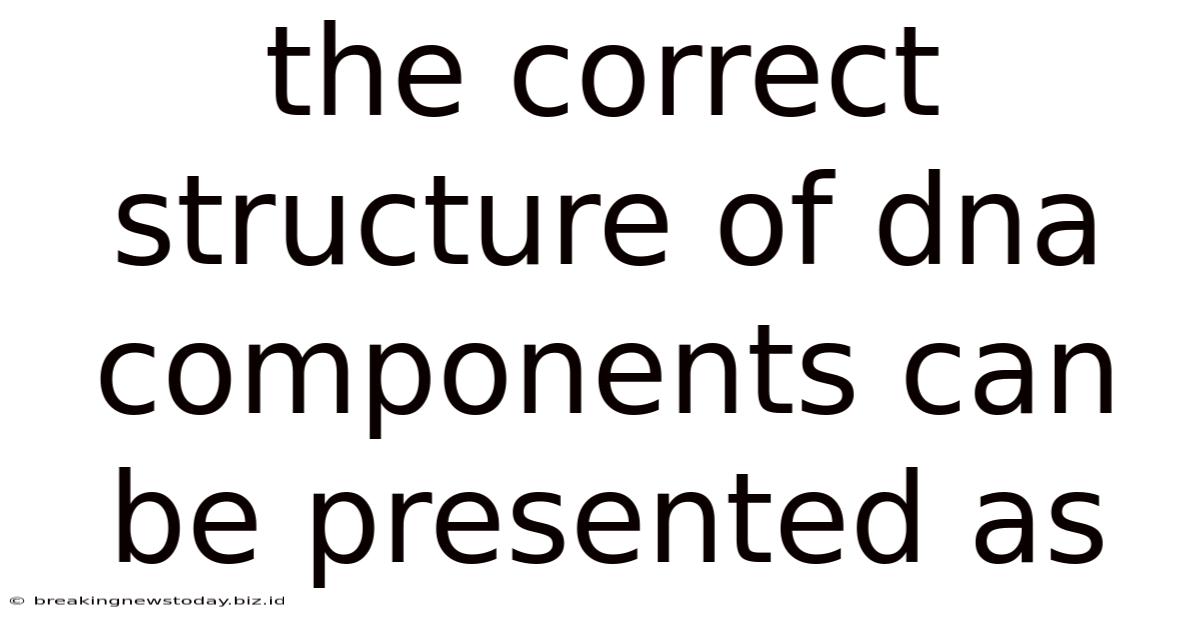 The Correct Structure Of Dna Components Can Be Presented As