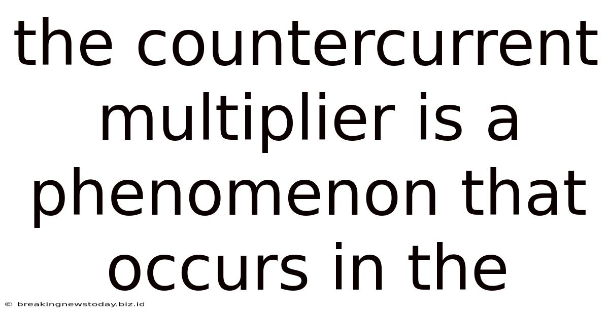 The Countercurrent Multiplier Is A Phenomenon That Occurs In The