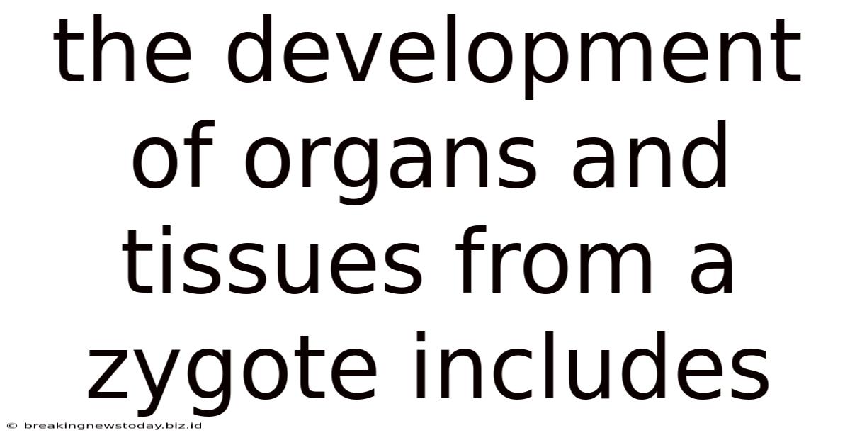 The Development Of Organs And Tissues From A Zygote Includes