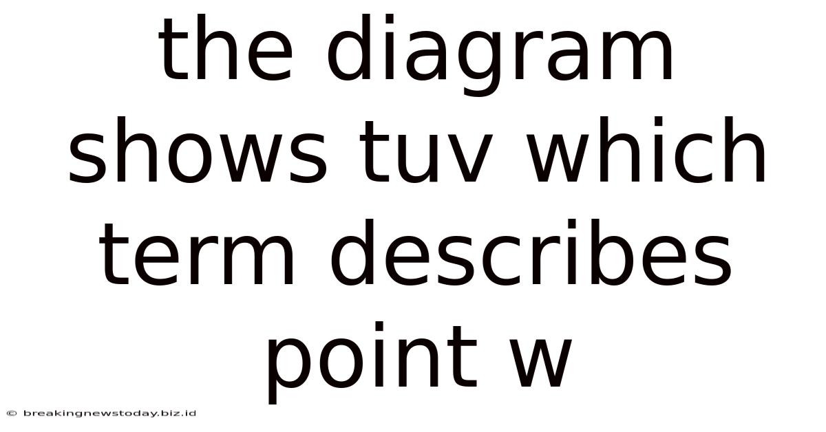 The Diagram Shows Tuv Which Term Describes Point W