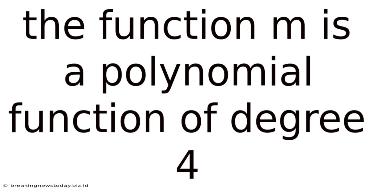 The Function M Is A Polynomial Function Of Degree 4
