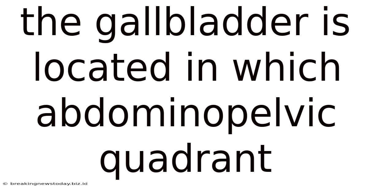 The Gallbladder Is Located In Which Abdominopelvic Quadrant
