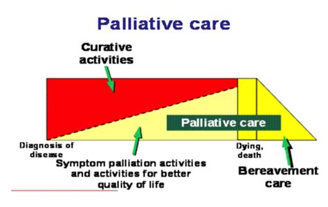 The Goal Of Palliative Care Is To Quizlet