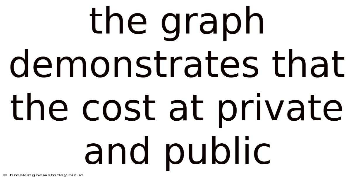 The Graph Demonstrates That The Cost At Private And Public