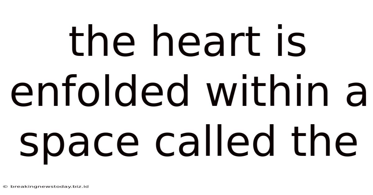 The Heart Is Enfolded Within A Space Called The