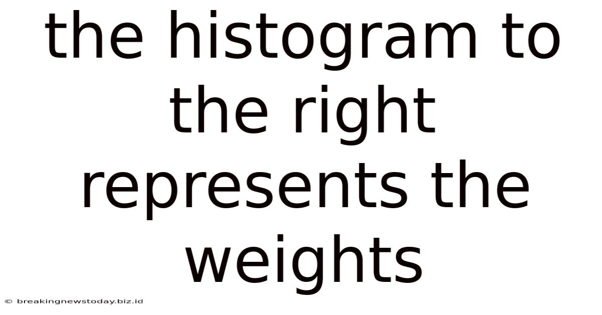 The Histogram To The Right Represents The Weights