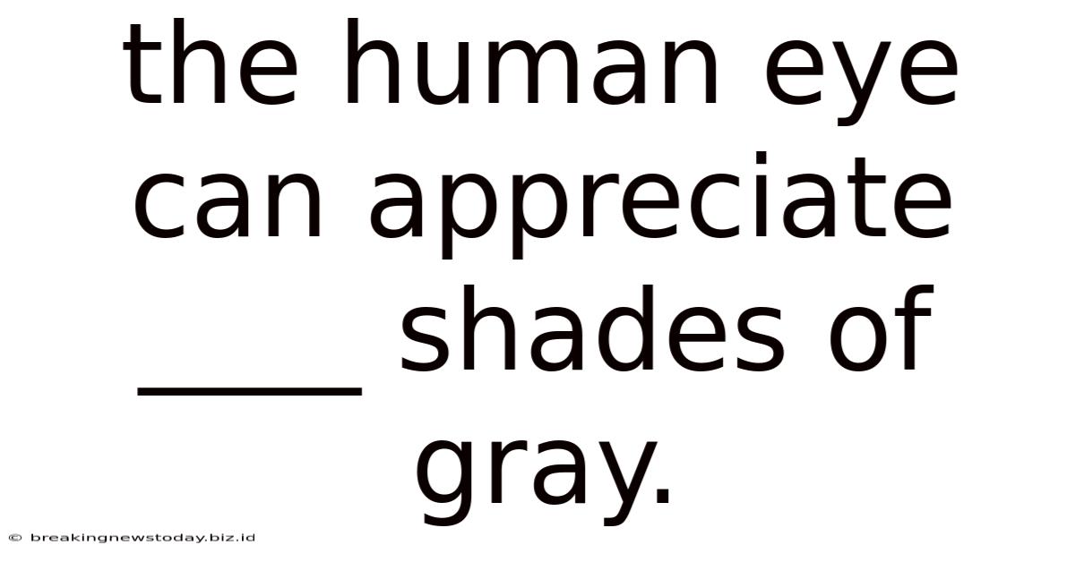 The Human Eye Can Appreciate ____ Shades Of Gray.