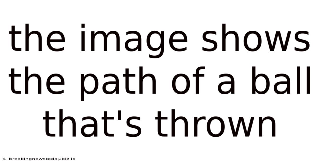 The Image Shows The Path Of A Ball That's Thrown