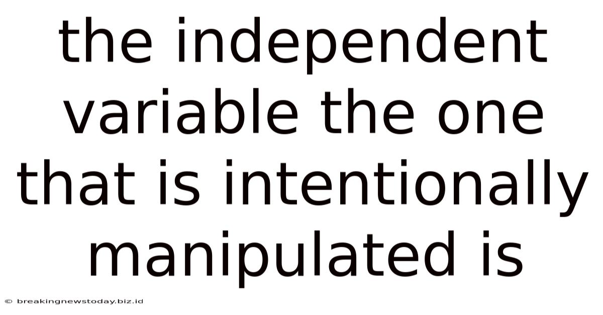 The Independent Variable The One That Is Intentionally Manipulated Is