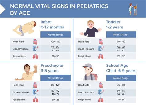 The Infant Isn't Breathing Normally But Has A Pulse Quizlet