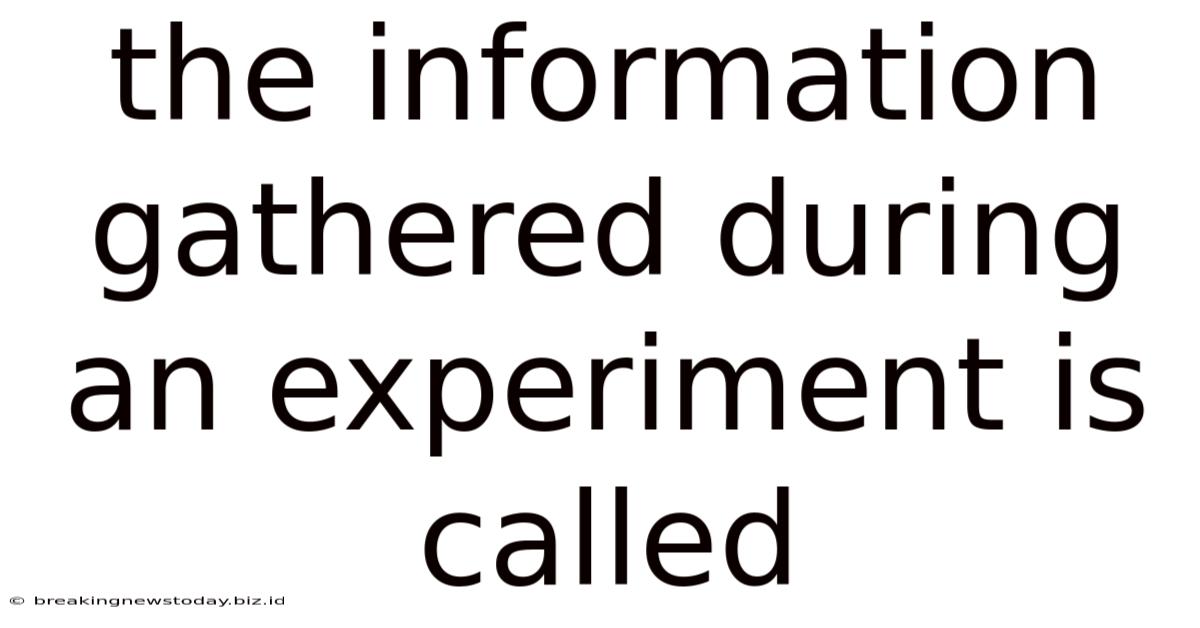 The Information Gathered During An Experiment Is Called