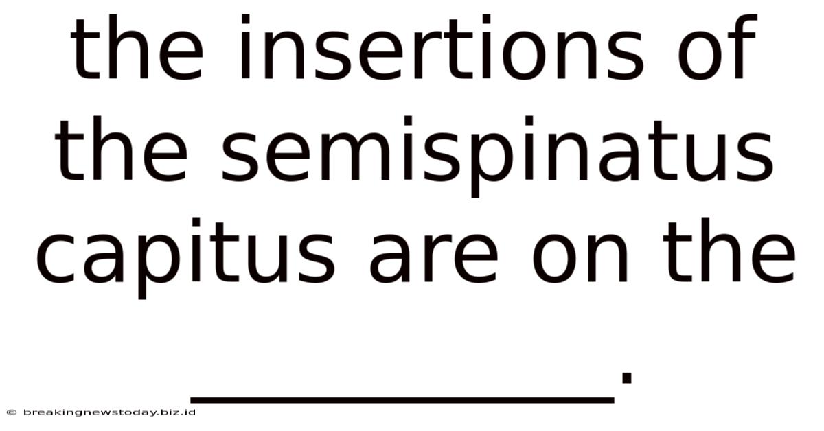 The Insertions Of The Semispinatus Capitus Are On The __________.