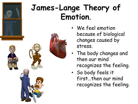 The James Lange Theory Of Emotion States That