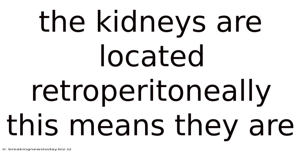 The Kidneys Are Located Retroperitoneally This Means They Are