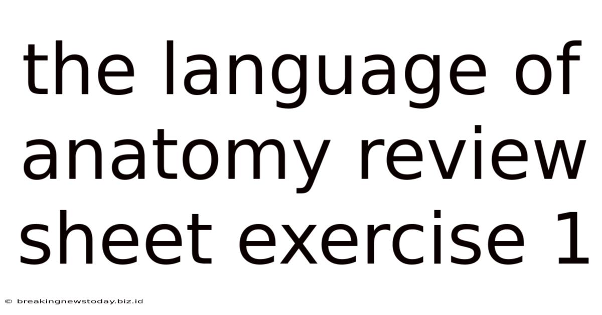 The Language Of Anatomy Review Sheet Exercise 1