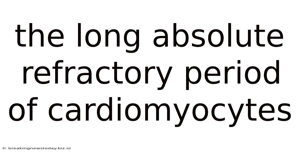 The Long Absolute Refractory Period Of Cardiomyocytes