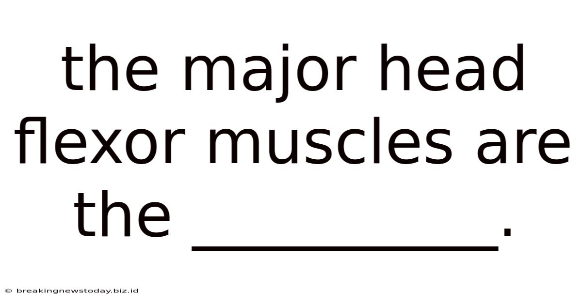 The Major Head Flexor Muscles Are The __________.
