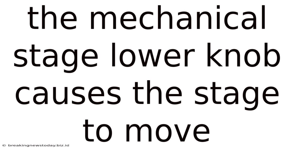 The Mechanical Stage Lower Knob Causes The Stage To Move