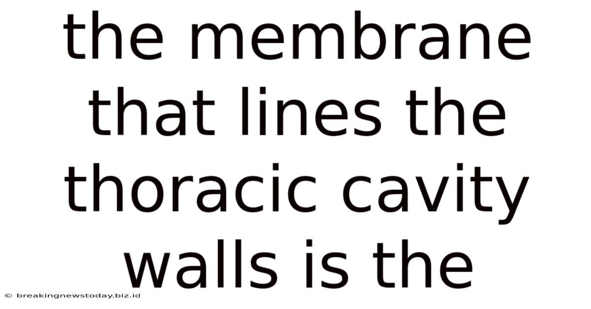 The Membrane That Lines The Thoracic Cavity Walls Is The