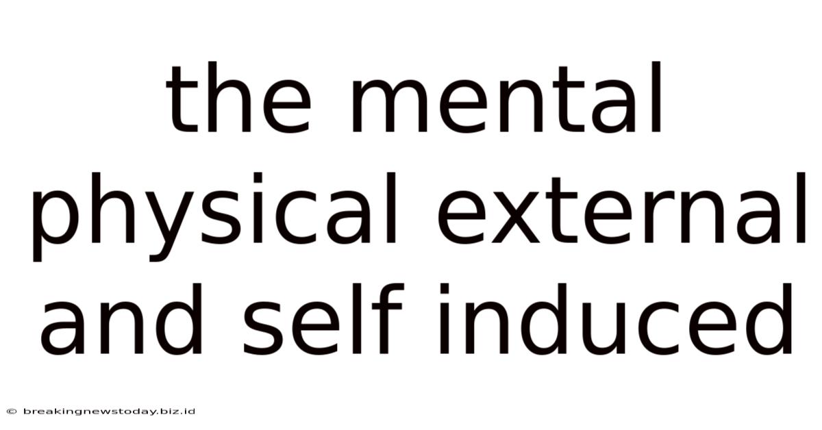 The Mental Physical External And Self Induced