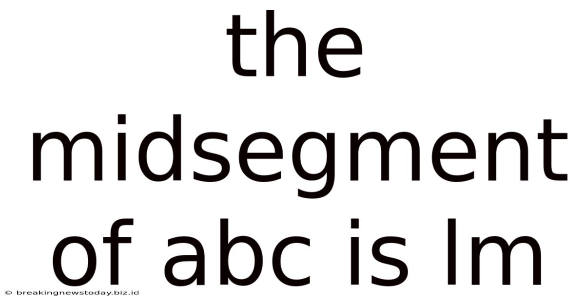 The Midsegment Of Abc Is Lm