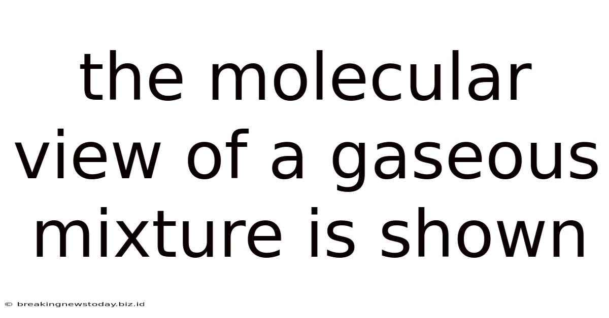 The Molecular View Of A Gaseous Mixture Is Shown