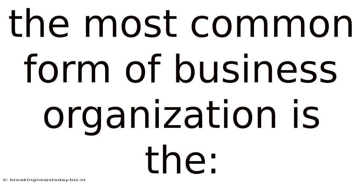 The Most Common Form Of Business Organization Is The: