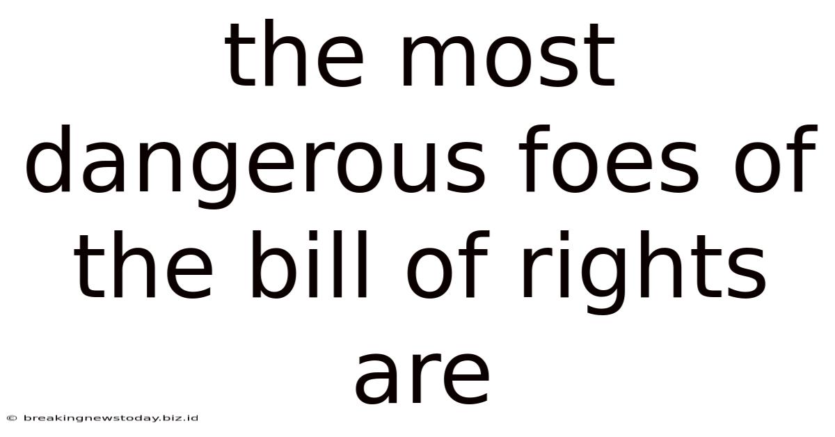 The Most Dangerous Foes Of The Bill Of Rights Are